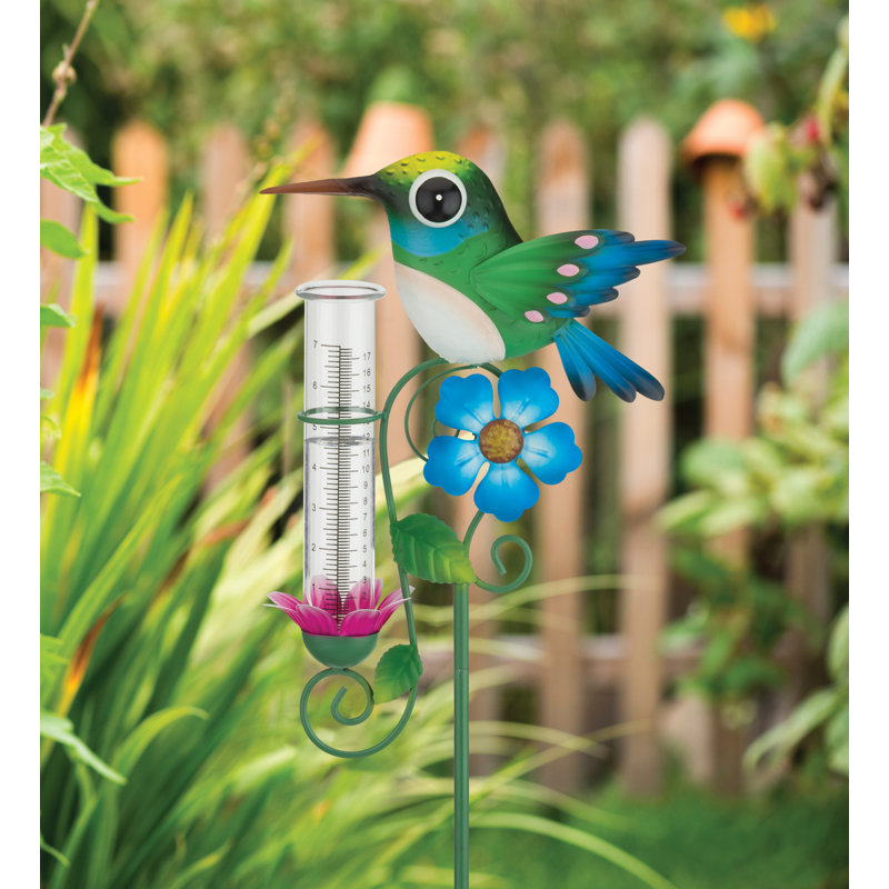 Piquet de pluie - colibri