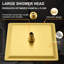 Pomme de douche de luxe 10 po avec bras de douche, fixation murale, acier inoxydable (sans valve de douche)-111202875