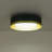 Modern Led Flush Mount 5 Cct Adjustable-1273034018