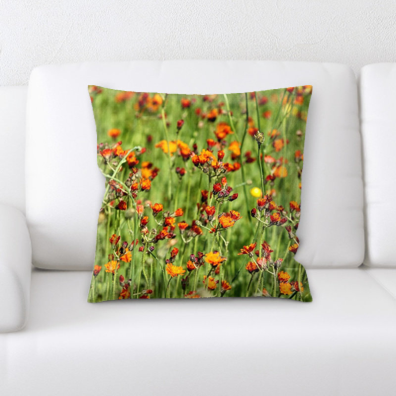 Coussin hawkweed