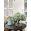 Hydrangea Bouquet In Bubble Glass Vase-938174868