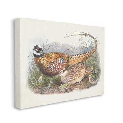Art mural sur toile Pheasant Family in Nature par Wild Apple Portfolio