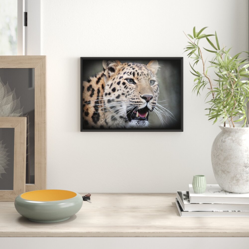 Gerahmtes Wandbild ausgewachsener Leopard