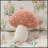 Full/Queen Mushroom Garden Comforter Set