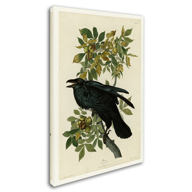« ravenplate 101 », reproduction sur toile tendue, H 32 po x l 22 po