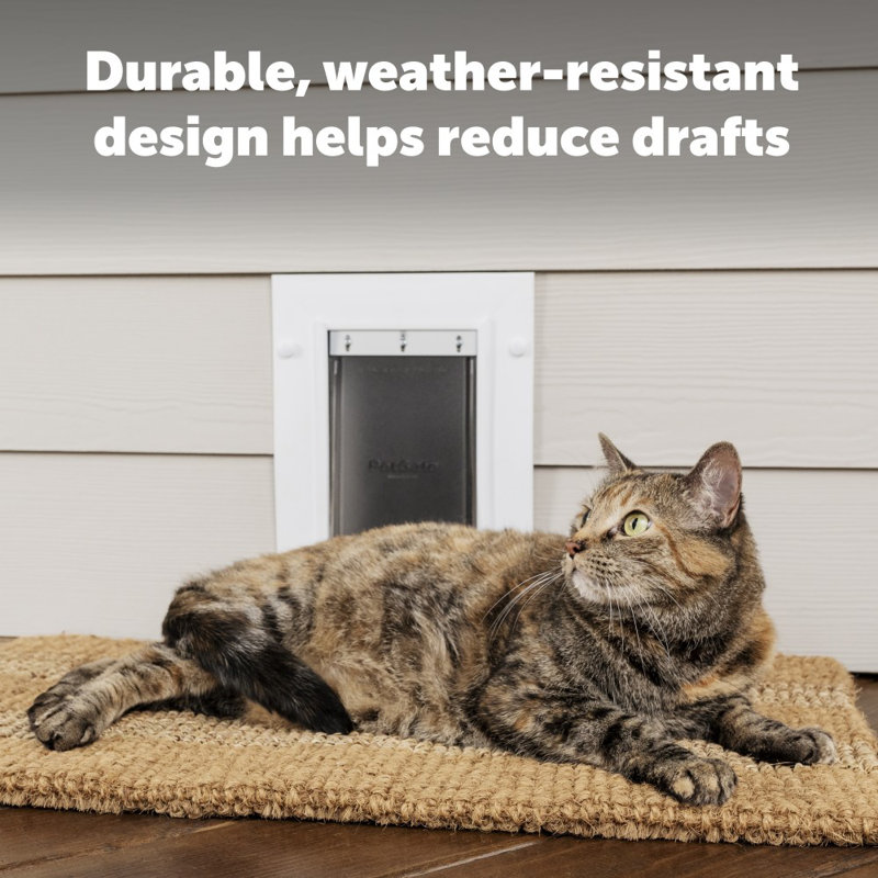 PetSafe® Wall Entry Pet Door, 13" H x 9.25" W x 7.25" L