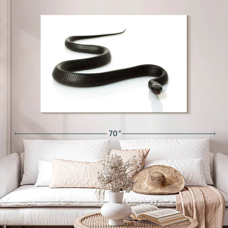 Brampt Eastern Indigo Snake, 34" H x 51" W