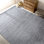 Area Rug in Gray/Ivory