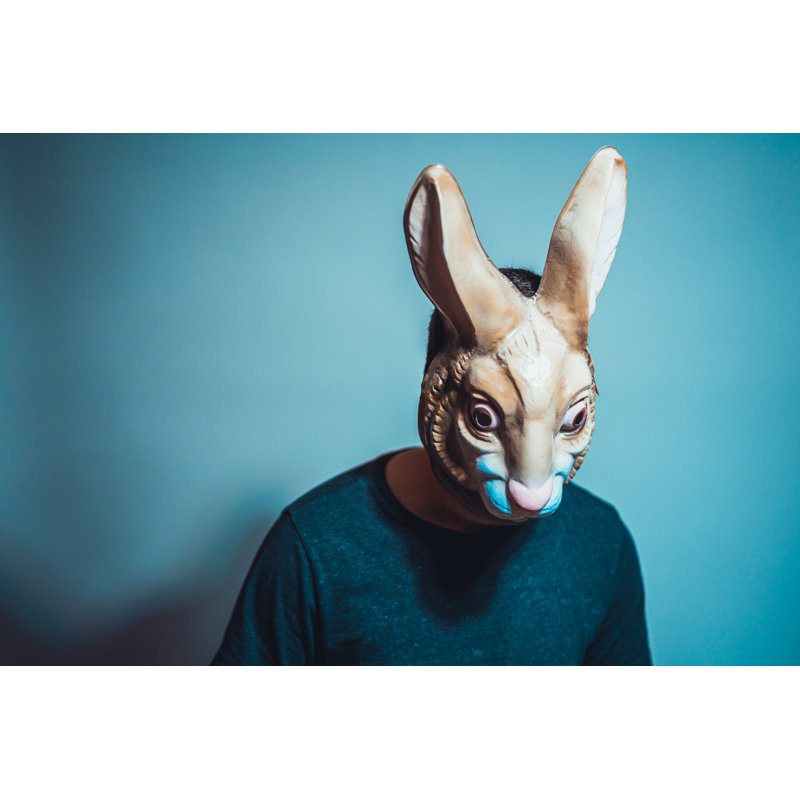 Halloween Themes - Wrapped Canvas Print, 51cm H x 76cm W x 3.8cm D