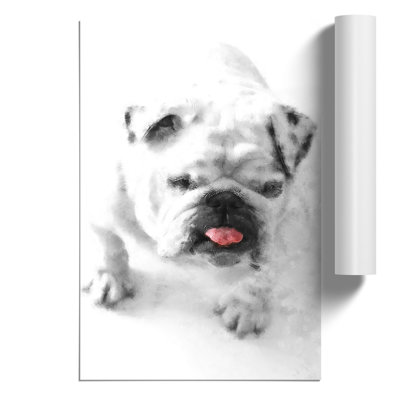 White Bristish Bulldog Painting - Frameless Print