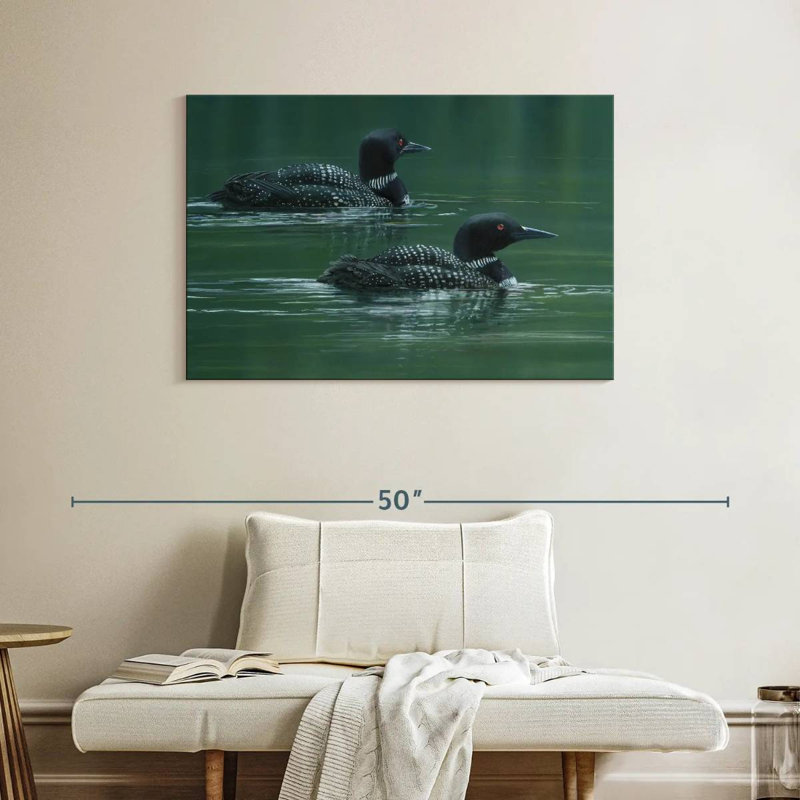 Two Loons, 26" H x 39" W
