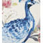 Poe 100% Cotton Fabric