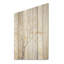 Minimalisme, sycomore beige solitude - arbre sycomore, panneau mural en bois sur bois de pin naturel-1787341793