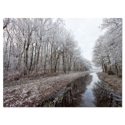 " Trees In White Winter Landscape "