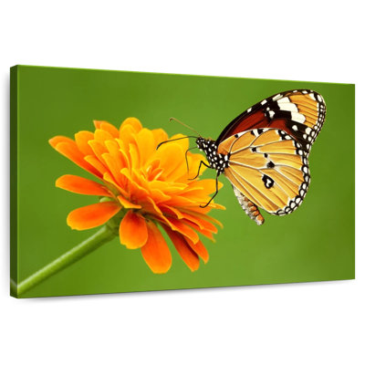 Brampt papillon avec fleur