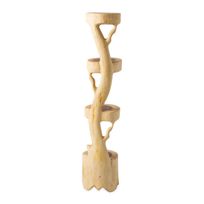 Suar Wood Display Stand
