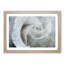 White Rose - Single Picture Frame Painting on MDF-56739387-56739391