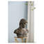 Buste d'Atticus, 48 ​​x 23 x 57 cm, sculpture classique antique