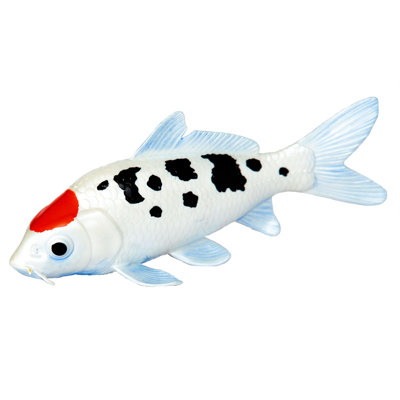 Koi - Tancho