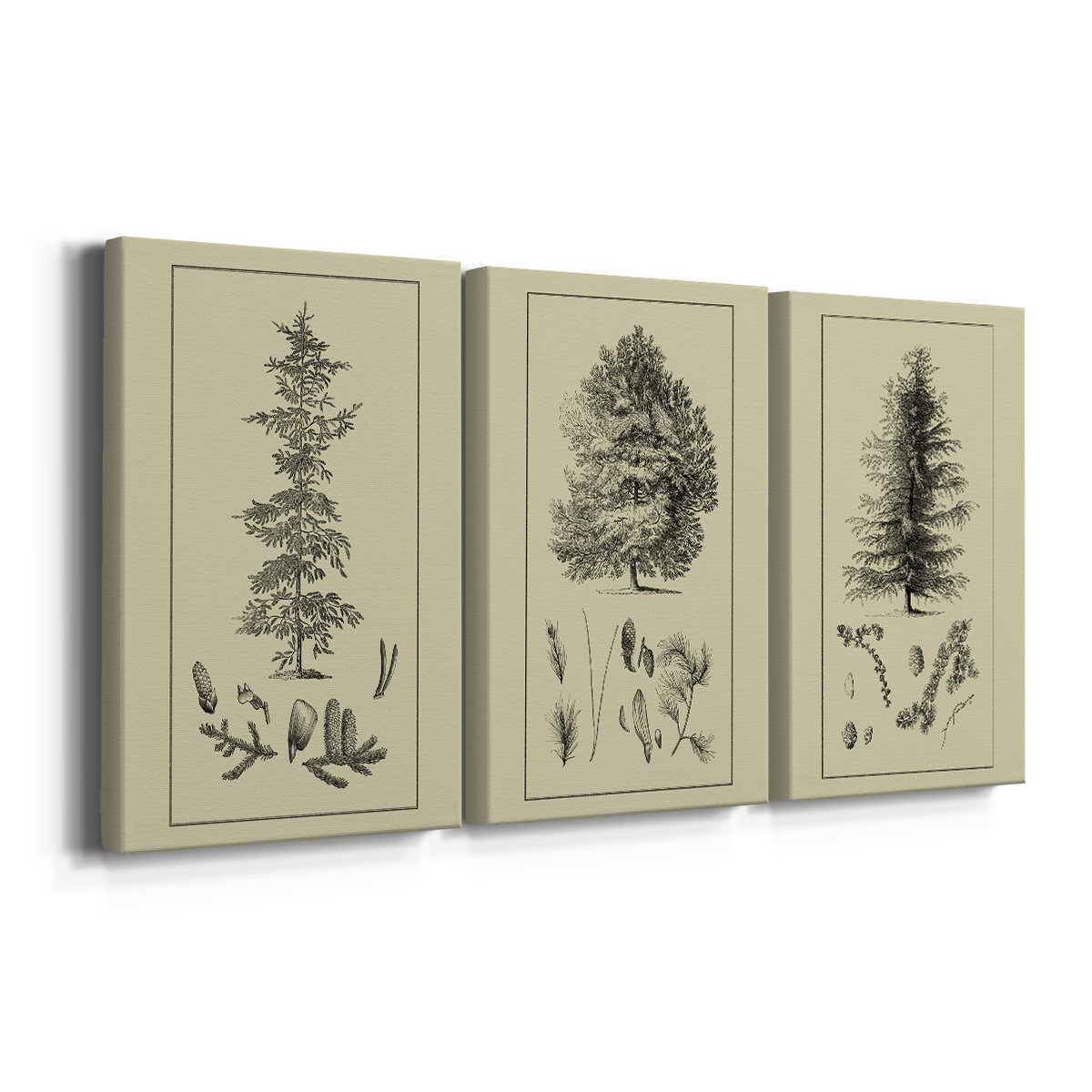 World Menagerie Arbor Study II -Custom Wrapped Gallery Canvas - 3 ...
