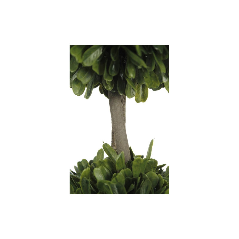 36" Double Boxwood Topiary in Pot