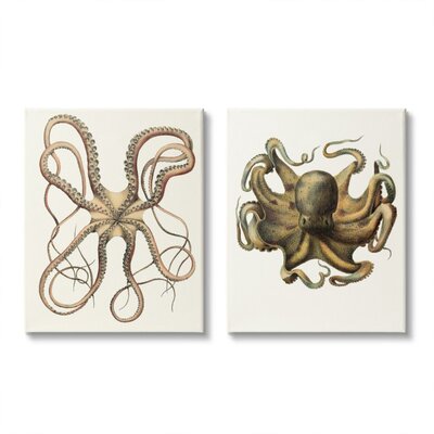 Vintage Octopus Illustration Curved Tentacles - 2 Piece Graphic Art Print Set -  Stupell Industries, a2-090_cn_2pc_24x30
