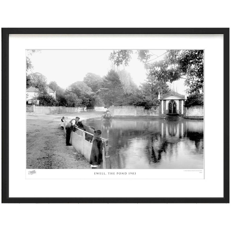 Ewell, The Pond 1903 by Francis Frith - Single Picture Frame Print, 45cm H x 60cm W x 2.3cm D