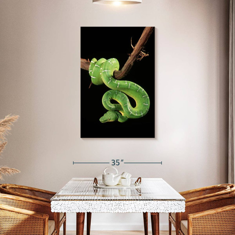 Brampt Hanging Emerald Tree Snake, 45" H x 30" W