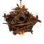 Donyan 6 - Light Chandelier
