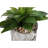 Artificial Plant
