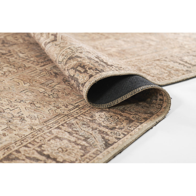 Bungalow Rose Campisi Traditional Medallion Polyester Brown Area Rug, Rectangle 5' x 7'6"