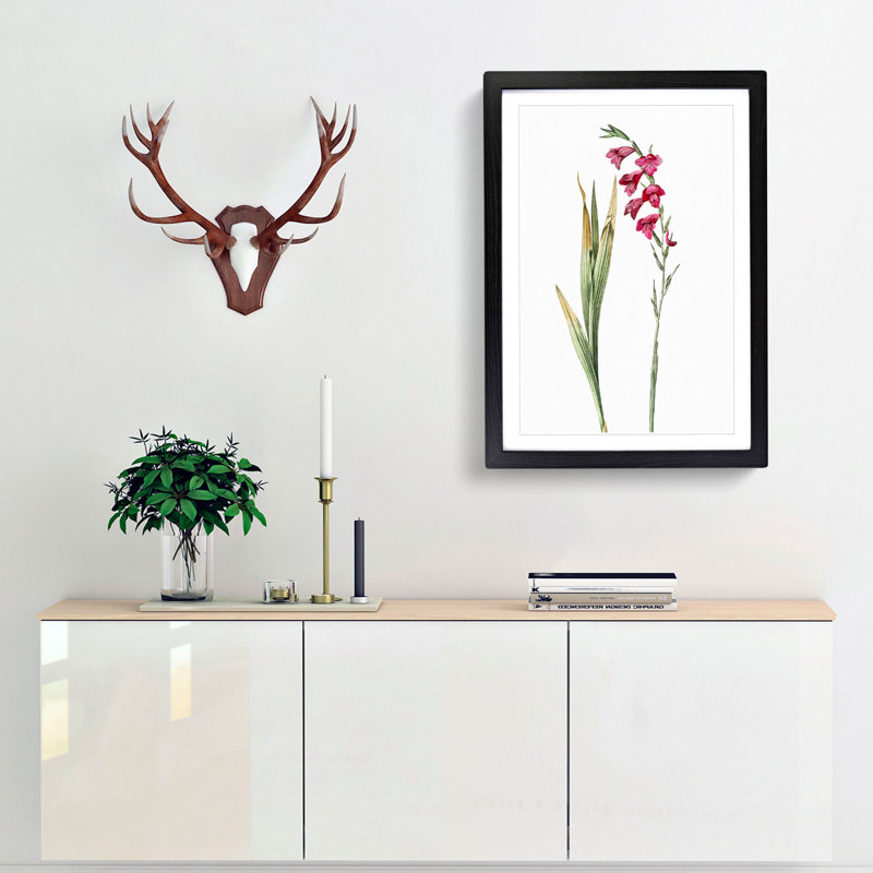 Pink Gladiolus Flowers by Pierre-Joseph Redoute - Picture Frame Painting Print, Black Framed, 36cm H x 27cm W x 2cm D