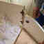 Customer photo 2 of 2