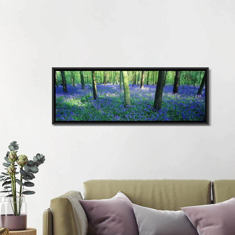 Bluebells panoramique dans une forêt, charfield, gloucestershire, england, reproduction de photo sur toile