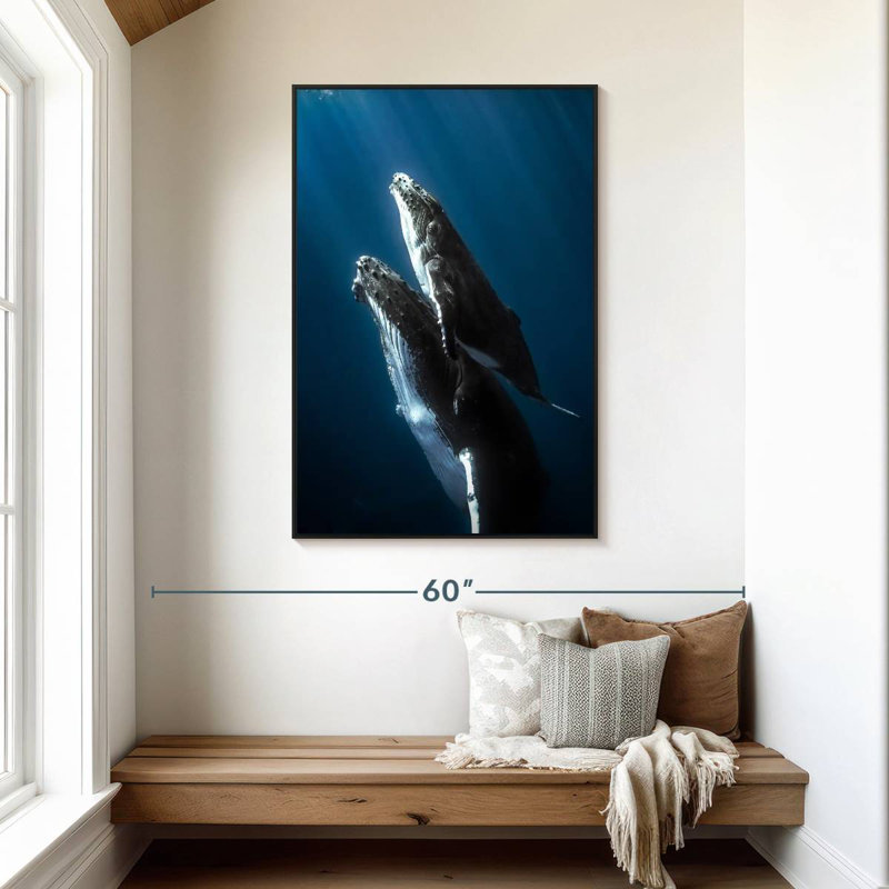 Baleine à bosse et son veau, 31 po x 46 po, Cadre flottant noir
