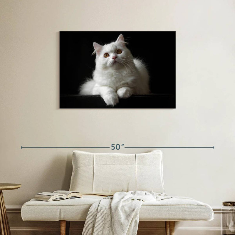 White Persian Cat, 24" H x 36" W