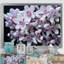 Lavande, neige, hiver, fleur sur toile-97024670-97024674