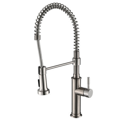 Robinet de cuisine à poignée simple avec douchette à double fonction