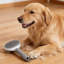 Brosse de toilettage auto-nettoyante pour animaux de compagnie, brosse à un bouton pour chiens et chats