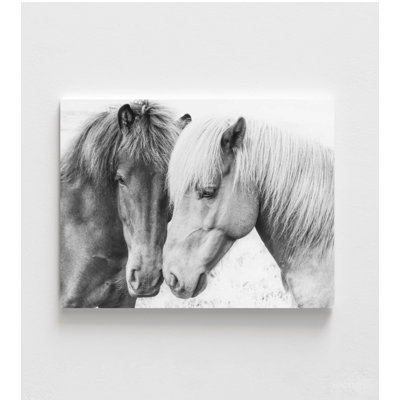 «Wild Horses Companions» - reproduction d'art chevalier noir et blanc