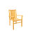 Cahyo Outdoor Teak Dining Armchair
