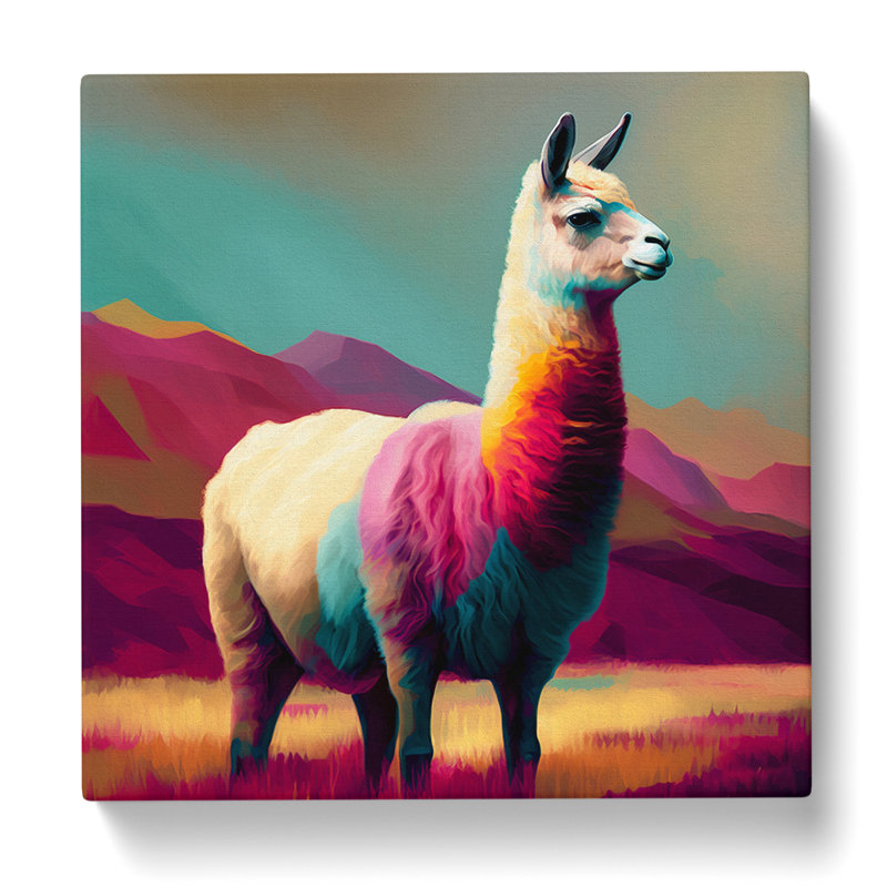 Llama Colour Field - Wrapped Canvas, 35cm H x 35cm W x 3cm D