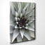 Green Succulent Cactus Photographic - Wrapped Canvas-19044289
