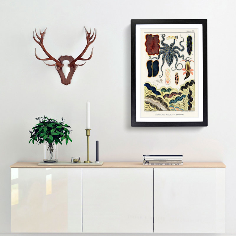 Great Barrier Reef Molluscs and Planarians by W. Saville-Kent - Picture Frame Painting Print, 36cm H x 27cm W x 2cm D