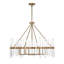 8 - Light Glass/Steel Chandelier
