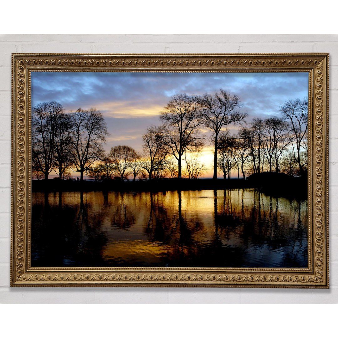 Woodland Lake At First Light - Einzelner Bilderrahmen Kunstdrucke