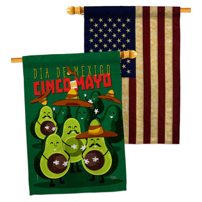 Drapeau de maison 40 po x H 28 po Avocado Fiesta