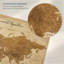 «Travel Together III», punaise Amrico-155992053