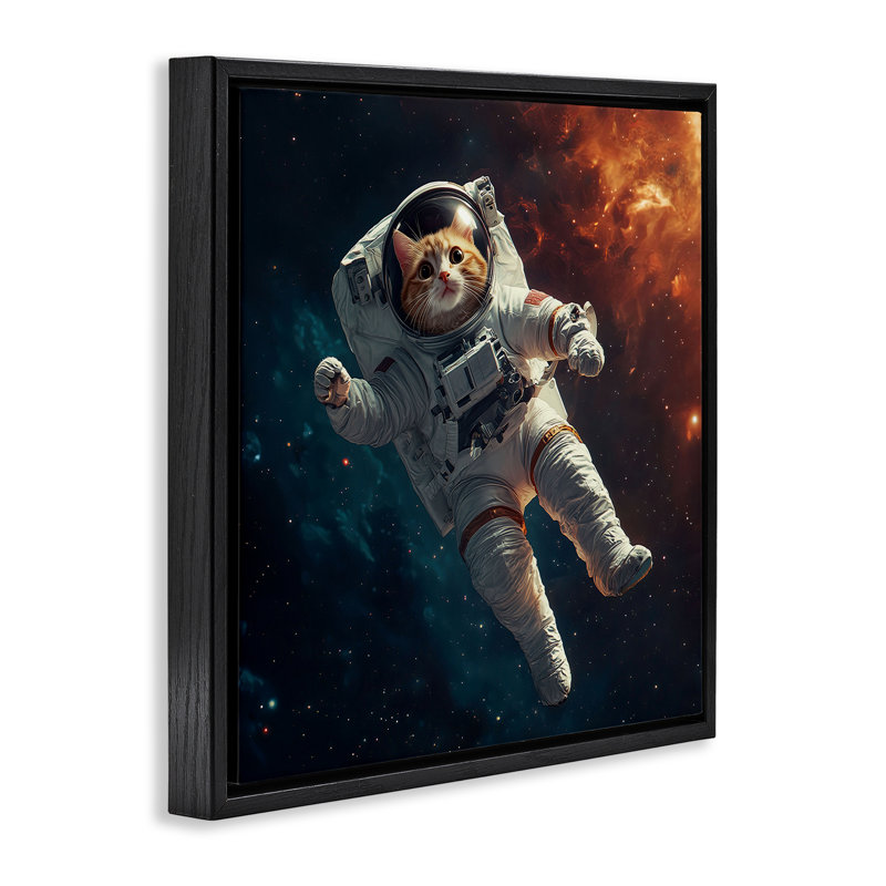 Cadre flottant interstellaire pour chat astronaute, design par Jim Baldwin, Cadre flottant noir de jais, H 18 po x l 18 po