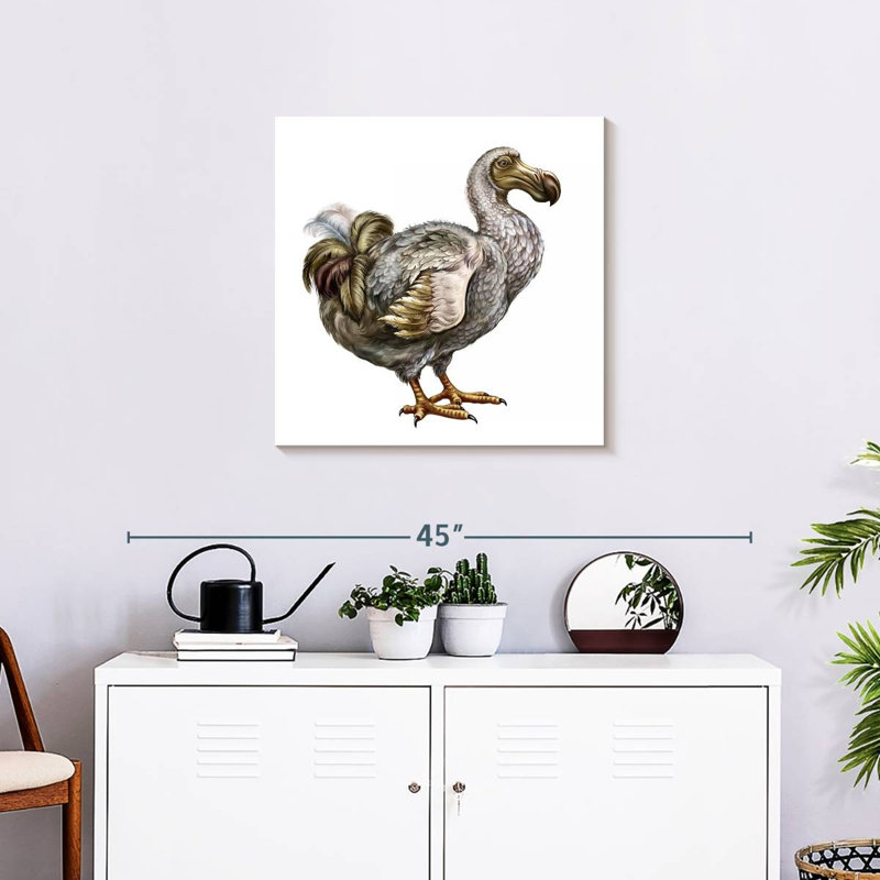 Brampt Dodo, 24" H x 24" W